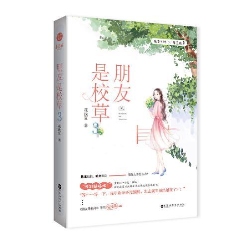 道托镇 开展反有组织犯罪法宣传
