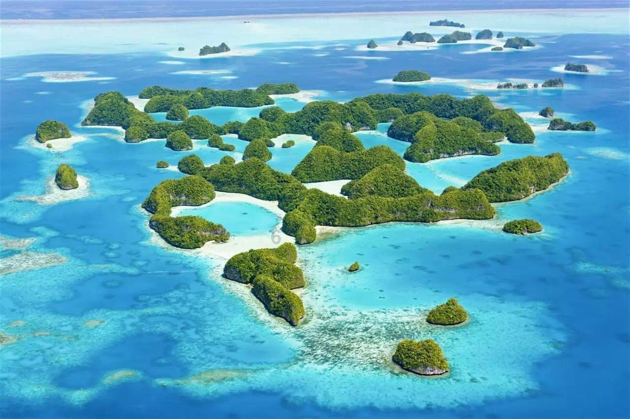 腐烂国度2